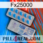 Fx25000 new15